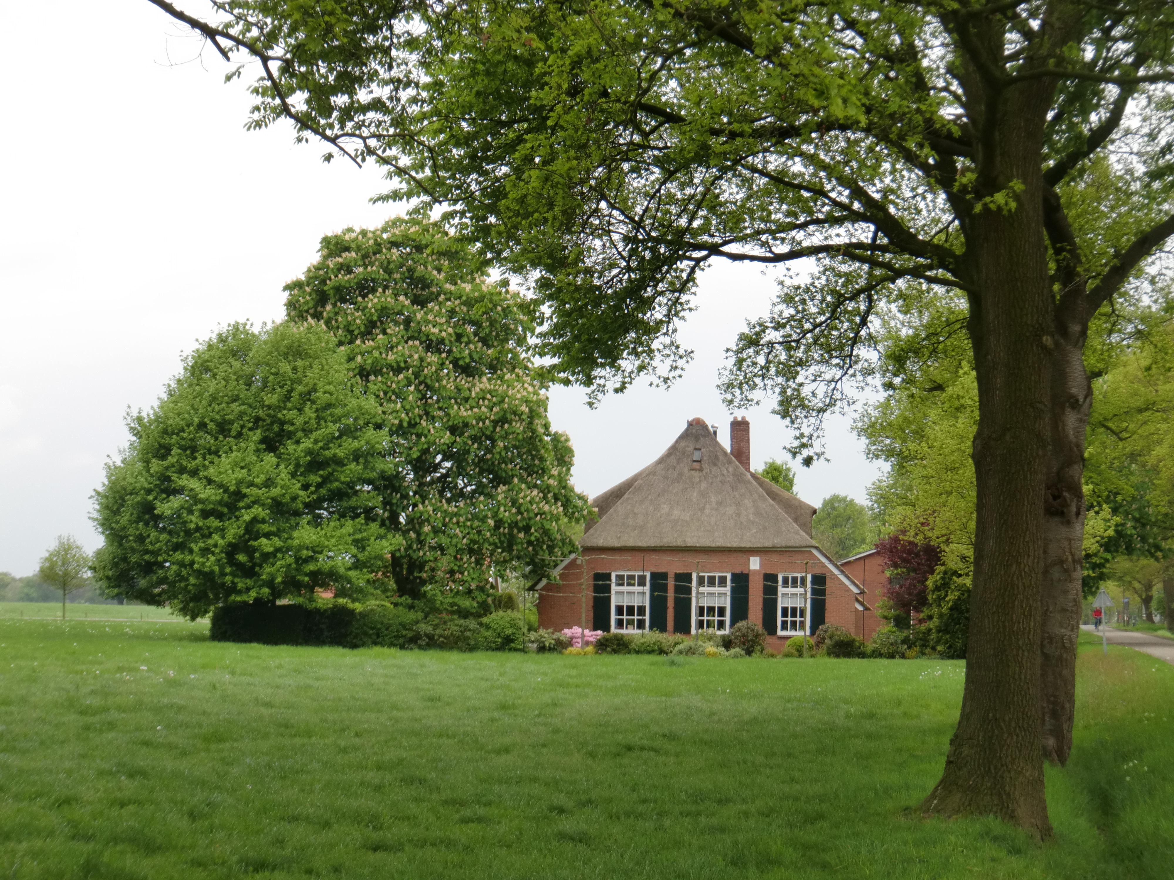 HWK2010 067.jpg